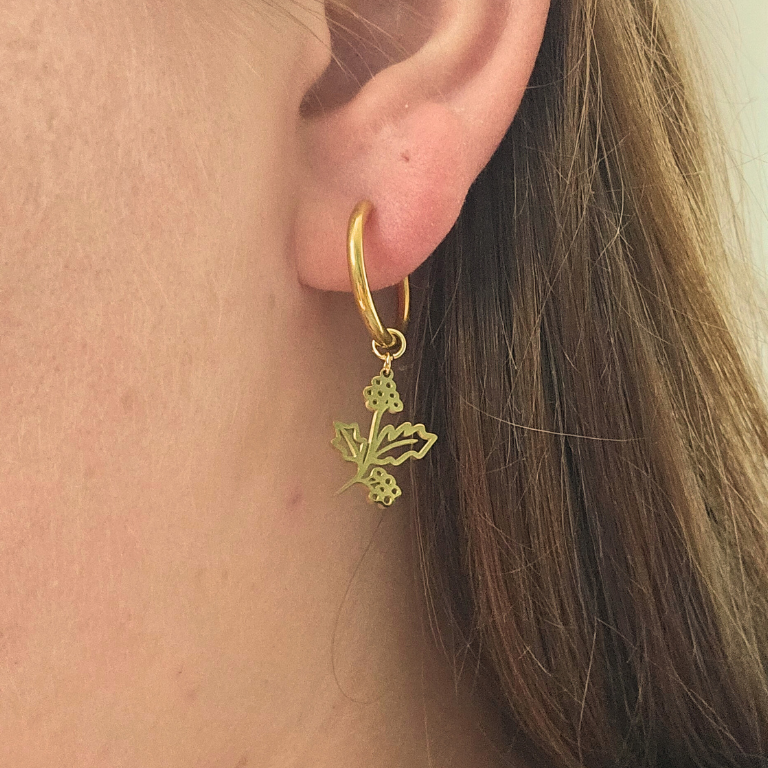 Oorbellen van goldplated stainless steel met geboortebloem van december: de hulst