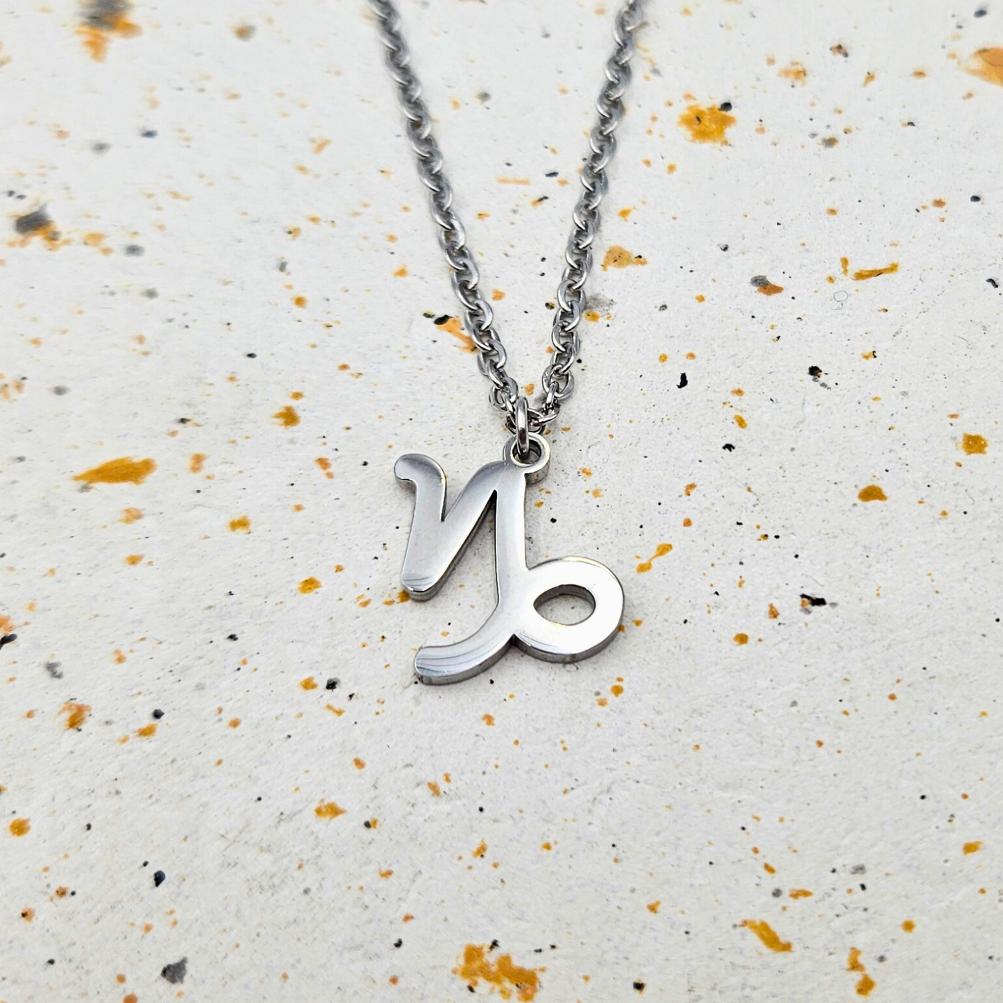 Ketting gemaakt van stainless steel met sterrenbeeld steenbok