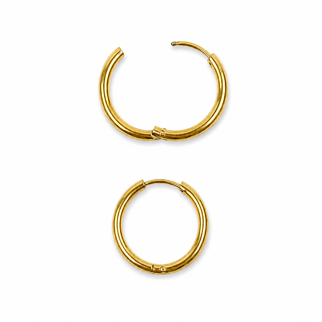 Gold Leo Zodiac Sign Earrings