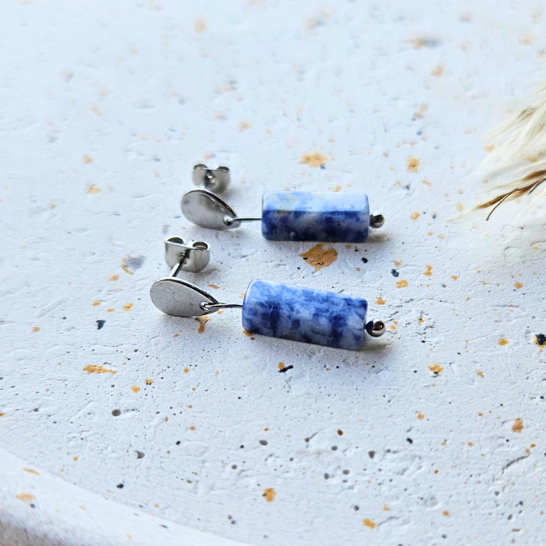 Oorbellen gemaakt van stainless steel met sodaliet