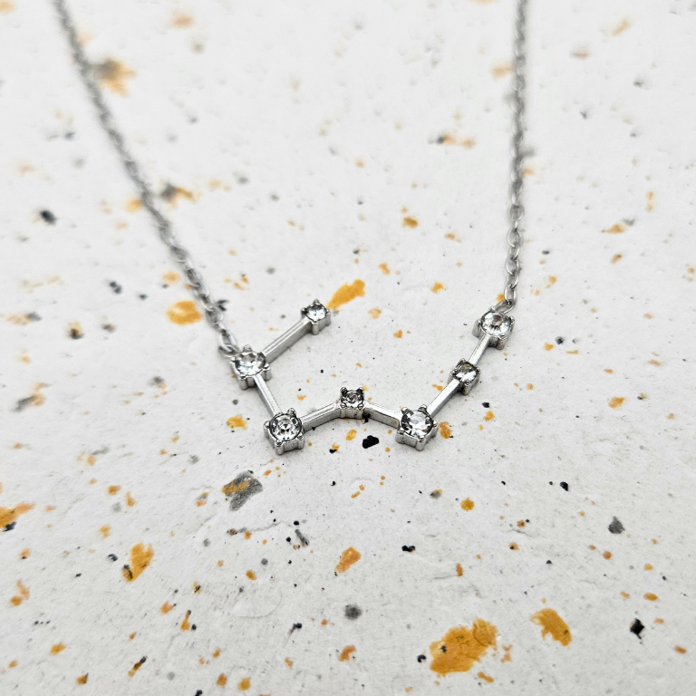 Ketting gemaakt van stainless steel met sterrenbeeld kreeft