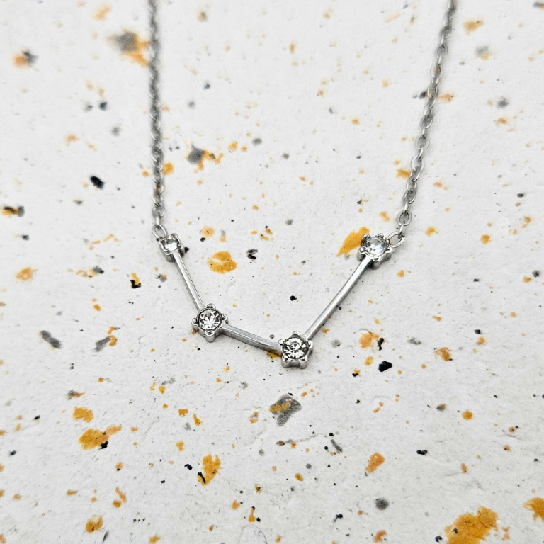 Ketting gemaakt van stainless steel met sterrenbeeld waterman
