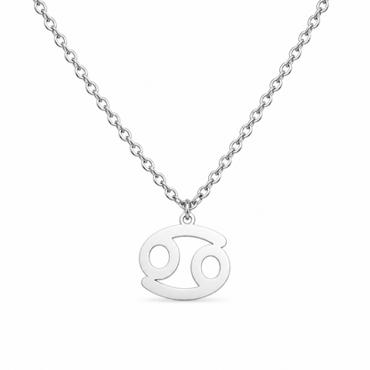 Ketting van stainless steel met het symbool van het sterrenbeeld kreeft