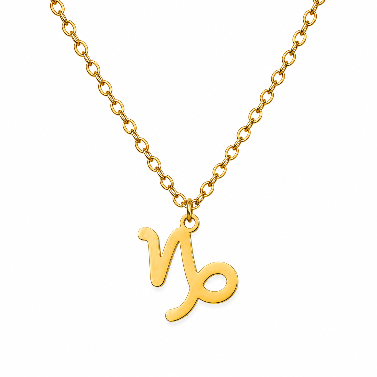 Ketting van goldplated stainless steel met het symbool van het  sterrenbeeld steenbok