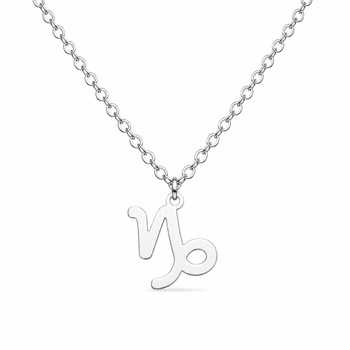 Ketting gemaakt van stainless steel met het symbool van het sterrenbeeld steenbok