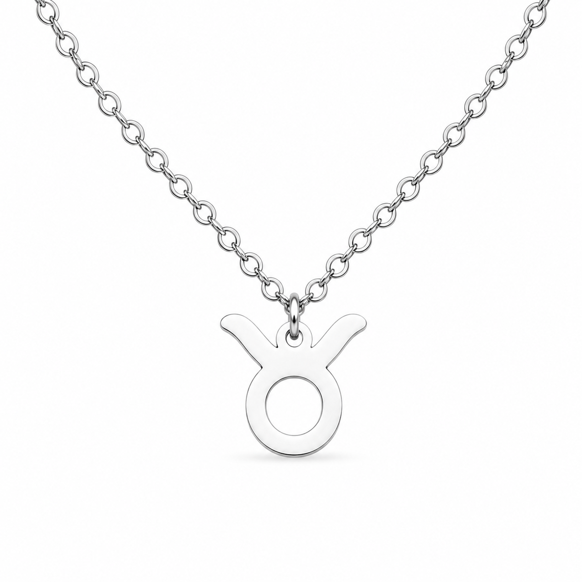Ketting gemaakt van stainless steel met het symbool van het sterrenbeeld stier