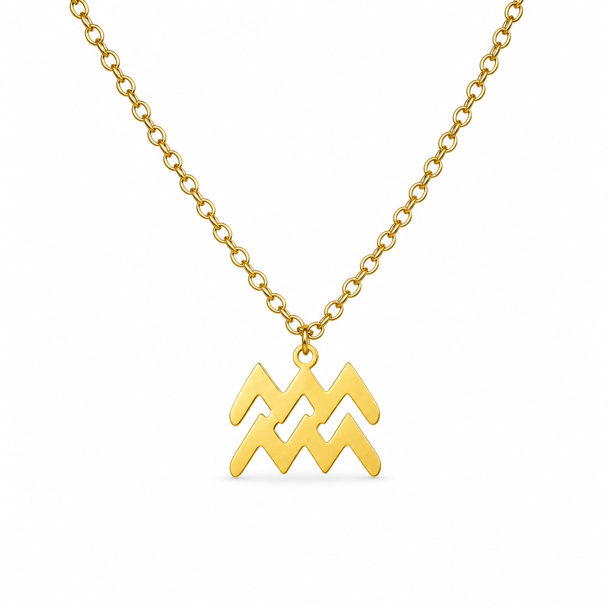 Ketting van goldplated stainless steel met het symbool van het sterrenbeeld waterman