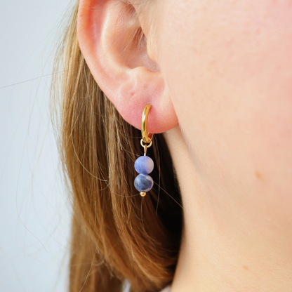 Earrings sodalite gold