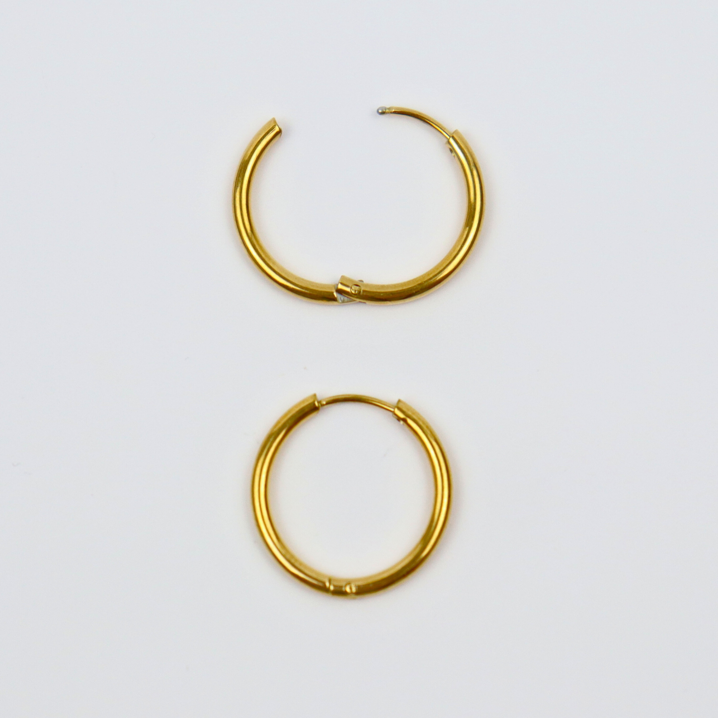 Oorbellen sterrenbeeld steenbok goud