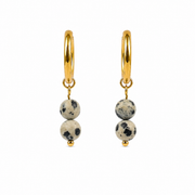 Dalmatian Jasper Earrings Gold