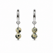 Dalmatian Jasper Earrings Silver