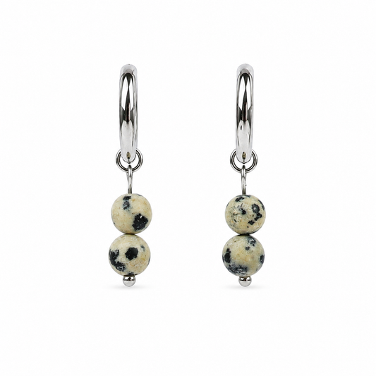 Dalmatian Jasper Earrings Silver