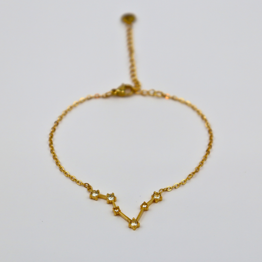 Sterrenbeeld armband vissen goud