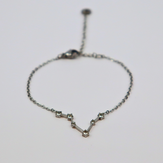 Sterrenbeeld armband vissen zilver