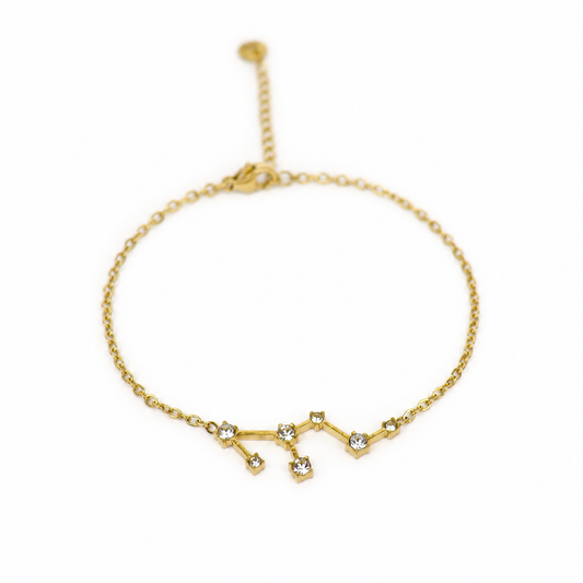 Armband van goldplated stainless steel met zirkonia steentjes in de vorm van het sterrenbeeld leeuw