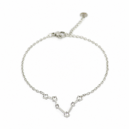 Armband van stainless steel met zirkonia steentjes in de vorm van het sterrenbeeld vissen