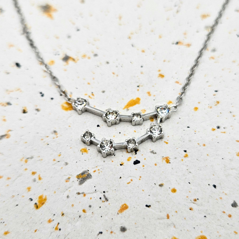 Ketting gemaakt van stainless steel met sterrenbeeld steenbok