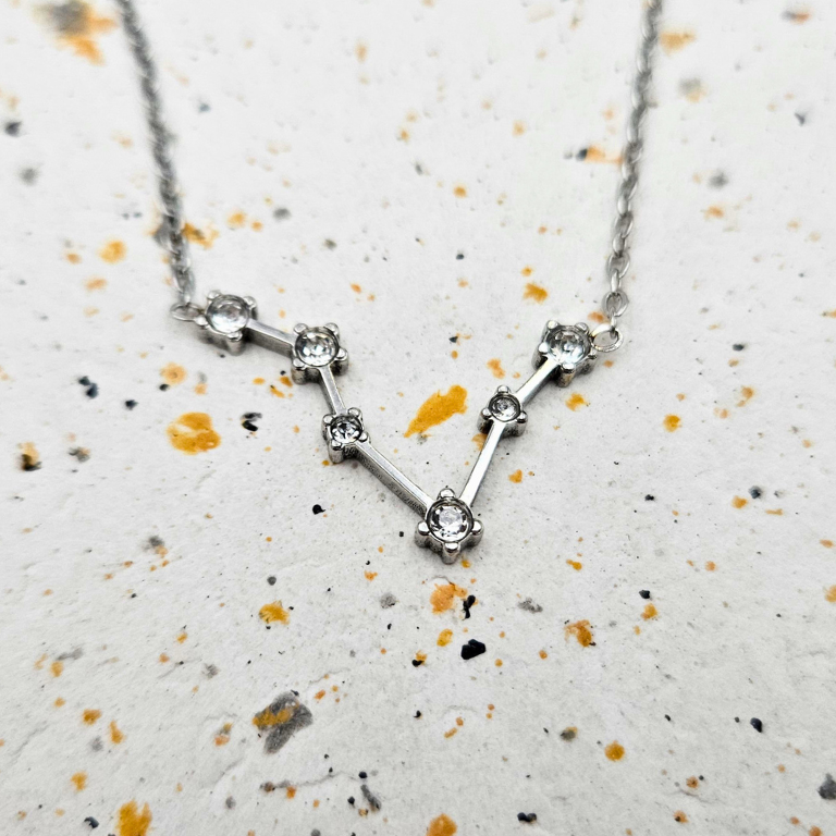 Ketting gemaakt van stainless steel met sterrenbeeld vissen