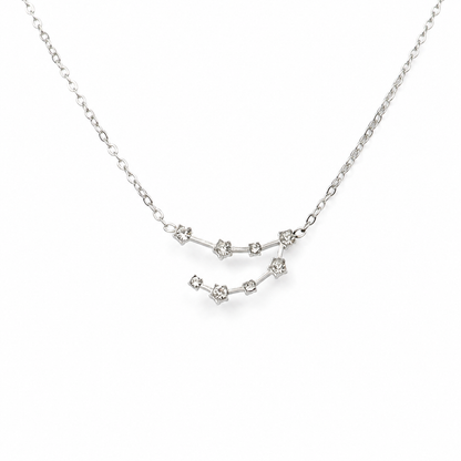 Ketting van stainless steel met zirkonia steentjes in de vorm van het sterrenbeeld steenbok