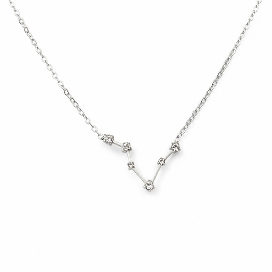 Ketting van stainless steel met zirkonia steentjes in de vorm van het sterrenbeeld vissen